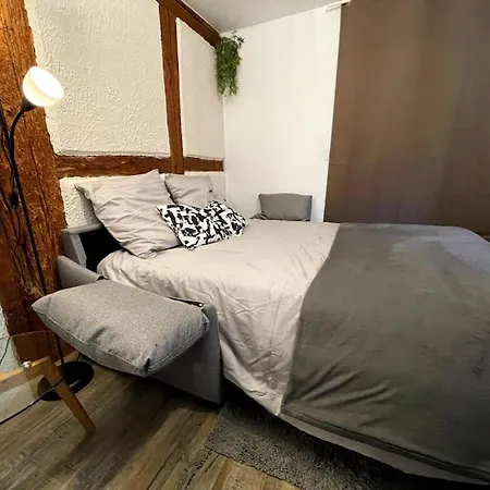 L'Alsacien - Appartement Avec Terrasse - Cuisine Equipee - Wifi Gratuit * Selestat
