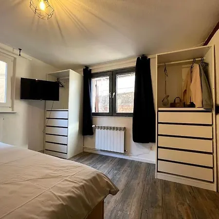 L'Alsacien - Appartement Avec Terrasse - Cuisine Equipee - Wifi Gratuit * Selestat